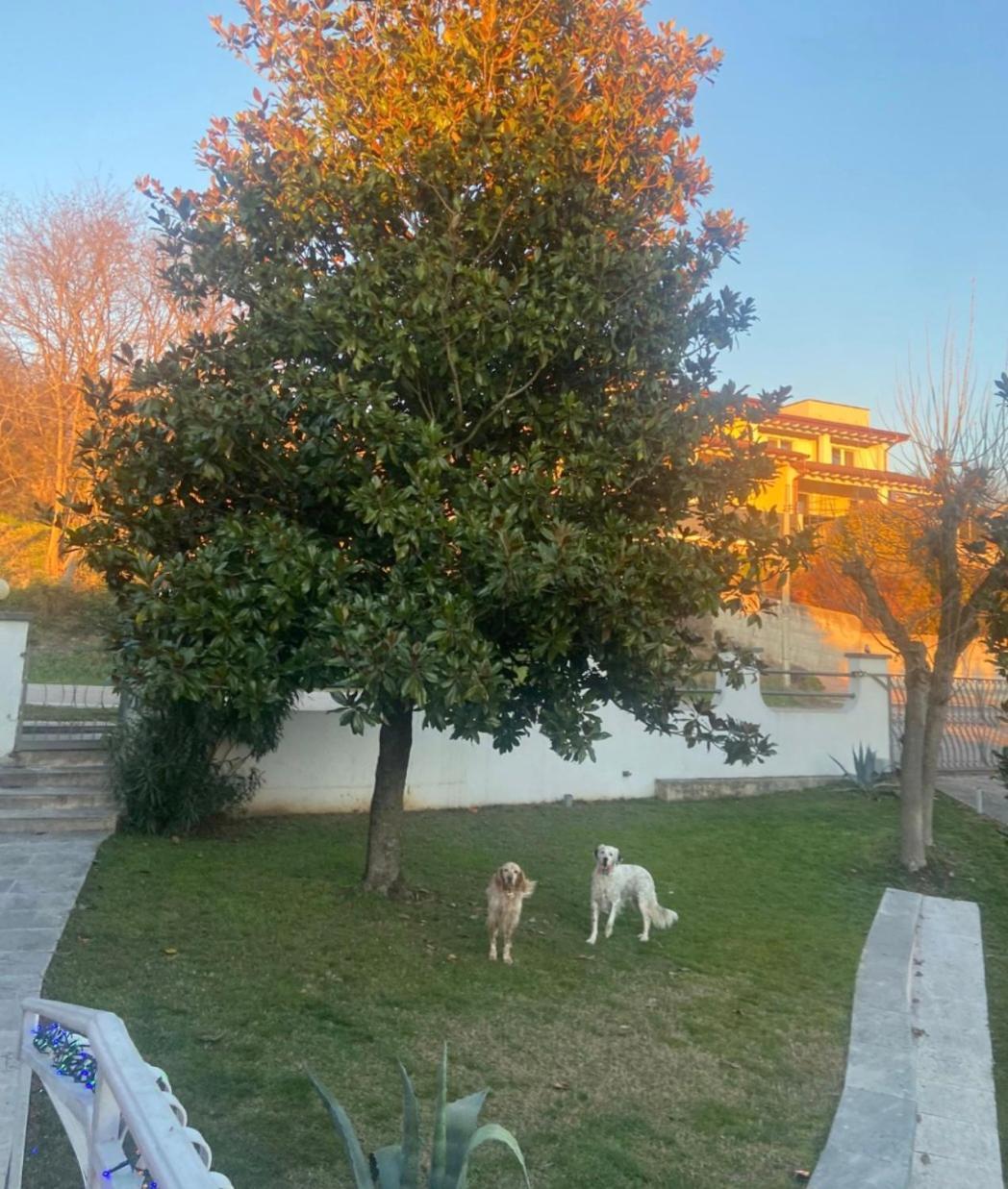 Pace, Luminosita E Comodita A Due Passi Dal Garda Volta Mantovana Room photo
